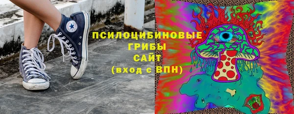 прущие крисы Верхний Тагил