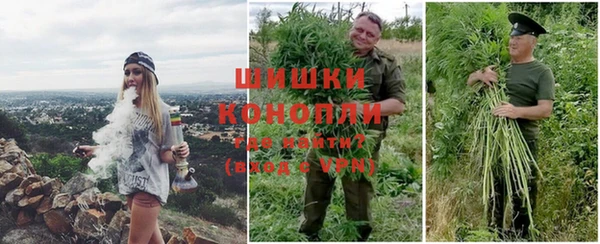 винт Верея