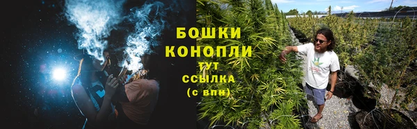 МДПВ Волоколамск