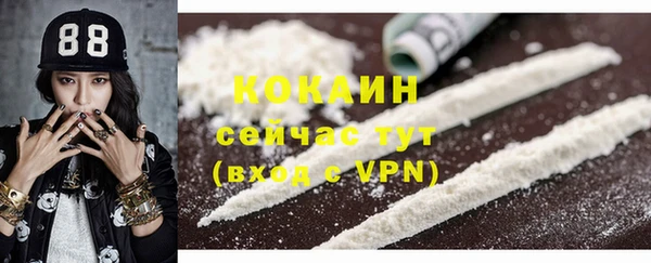 винт Верея